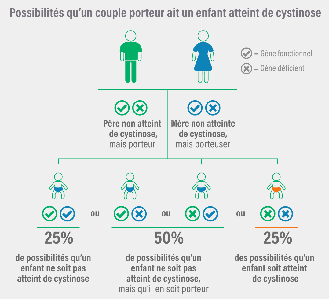 image showing how cystinosis can be passed to children